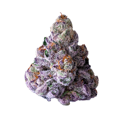 Prizm (Indica) - Top Shelf Flower