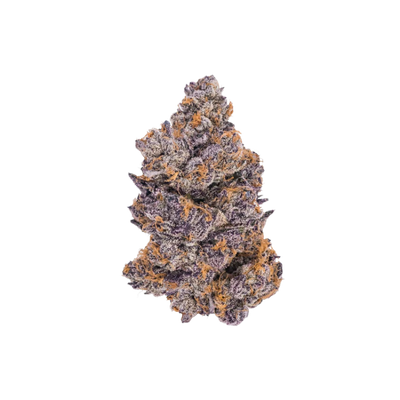 Jealousy (Hybrid) - Premium Flower