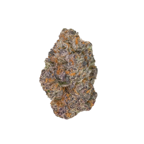 Apple Fritter (Hybrid) - Everyday Flower