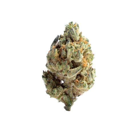 Medellin (Sativa) - Top Shelf Flower