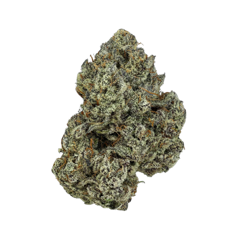 Alien Cream (Hybrid) - Top Shelf Flower
