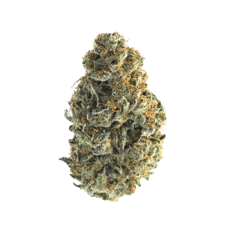 Big Foot Glue (Sativa) - Everyday Flower