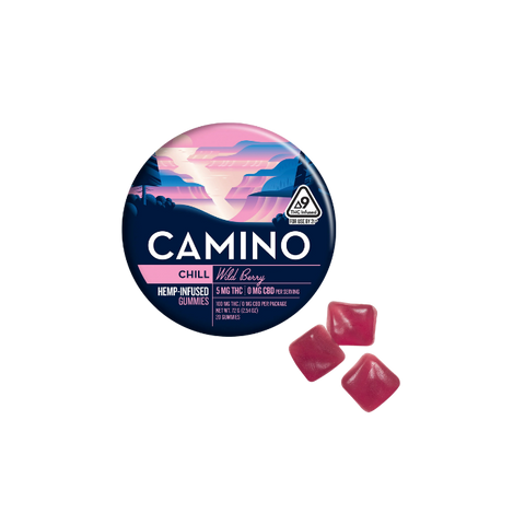 Camino - 100mg Gummies - Chill | Wild Berry (Hybrid)