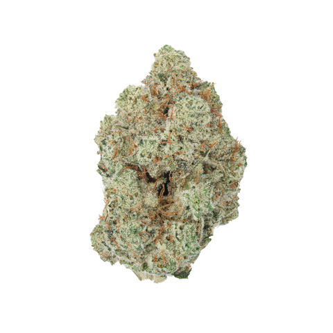 Original Glue (Indica) - Premium Flower