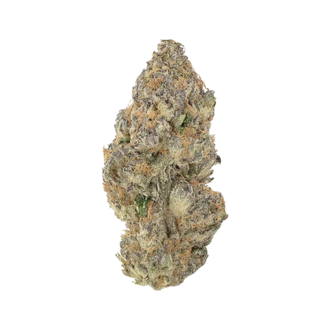 Gummy Bears (Hybrid) - Everyday Flower