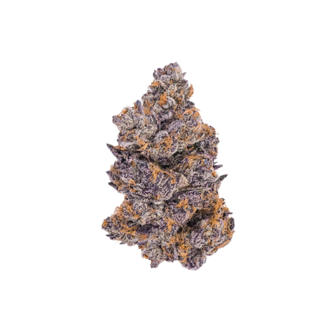 Jealousy (Hybrid) - Premium Flower