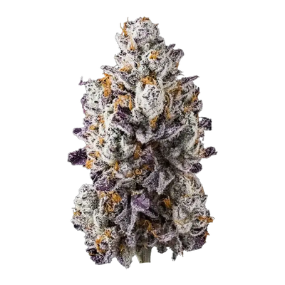 New Money (Sativa) - Top Shelf Flower