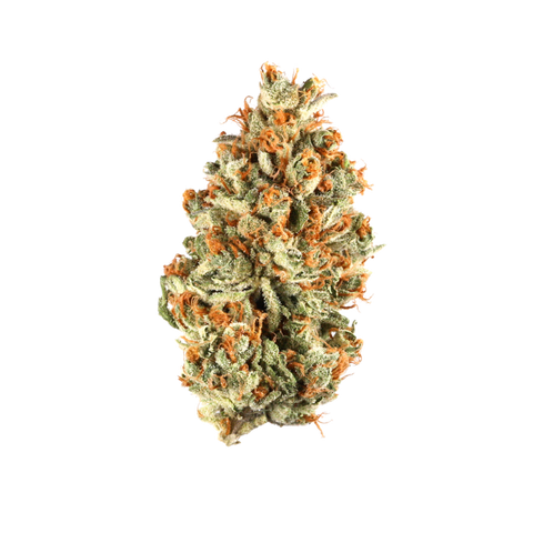 Orange Julius (Sativa) - Premium Flower