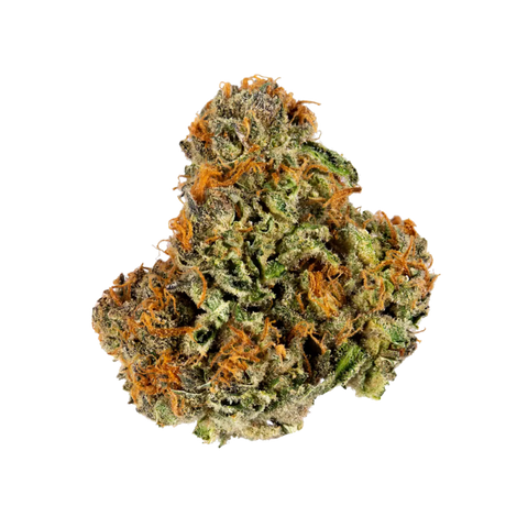 Pineapple Express (Hybrid) - Everyday Flower